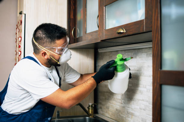 Best Local Pest Control Services  in Milam, TX