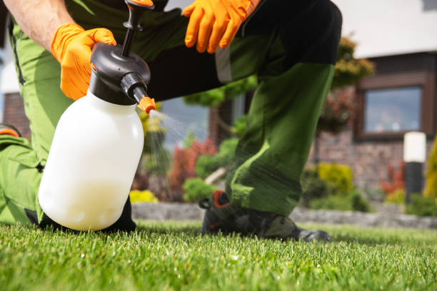 Trusted Milam, TX Pest Control Experts