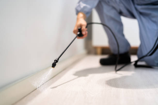 Professional Pest Control in Milam, TX