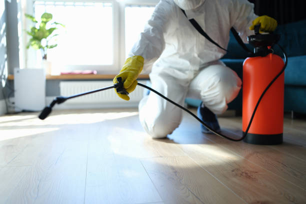 Best Flea Control Services  in Milam, TX