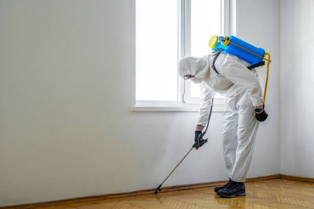 Best Bed Bug Extermination  in Milam, TX