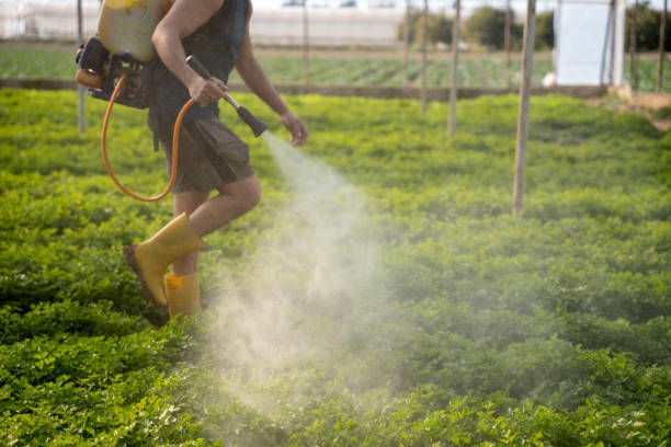 Best Emergency Pest Control  in Milam, TX