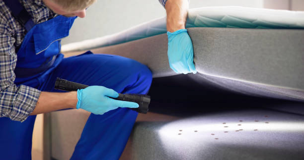 Best Emergency Pest Control  in Milam, TX