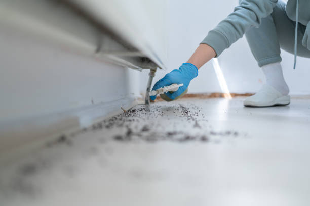 Best Exterminator Services  in Milam, TX