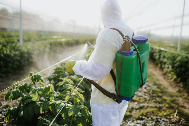 Best Pest Control for Businesses  in Milam, TX